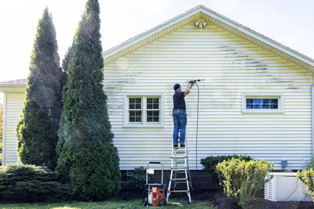 Trusted Port Isabel, TX Pressure Washing Services Experts